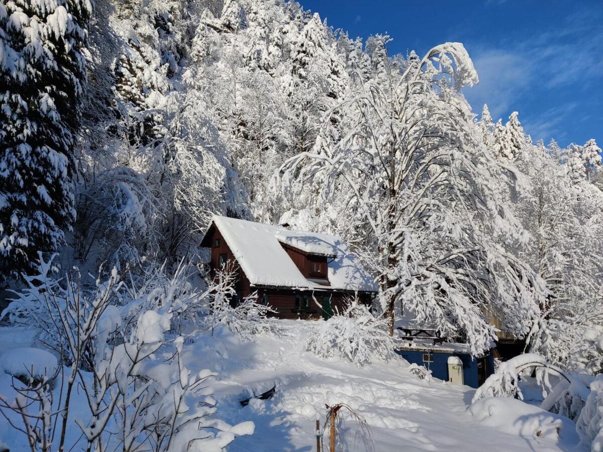 Idyllic Mountain Huette -Gesaeuse Nationalpark Villa Landl  Exterior photo