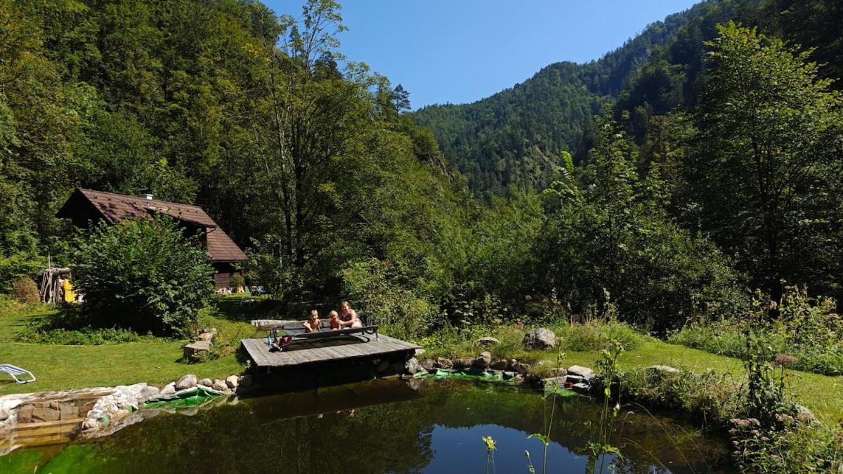 Idyllic Mountain Huette -Gesaeuse Nationalpark Villa Landl  Exterior photo